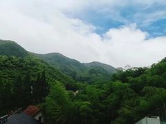 -莫干山风景区