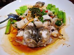 鲜花椒蒸桂花鲈-猪肉婆私房菜(容桂总店)