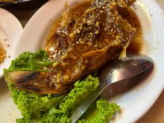 -大树下海鲜饭店