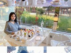 自助取餐区-九献创意菜·牛排馆(亮马河花园店)