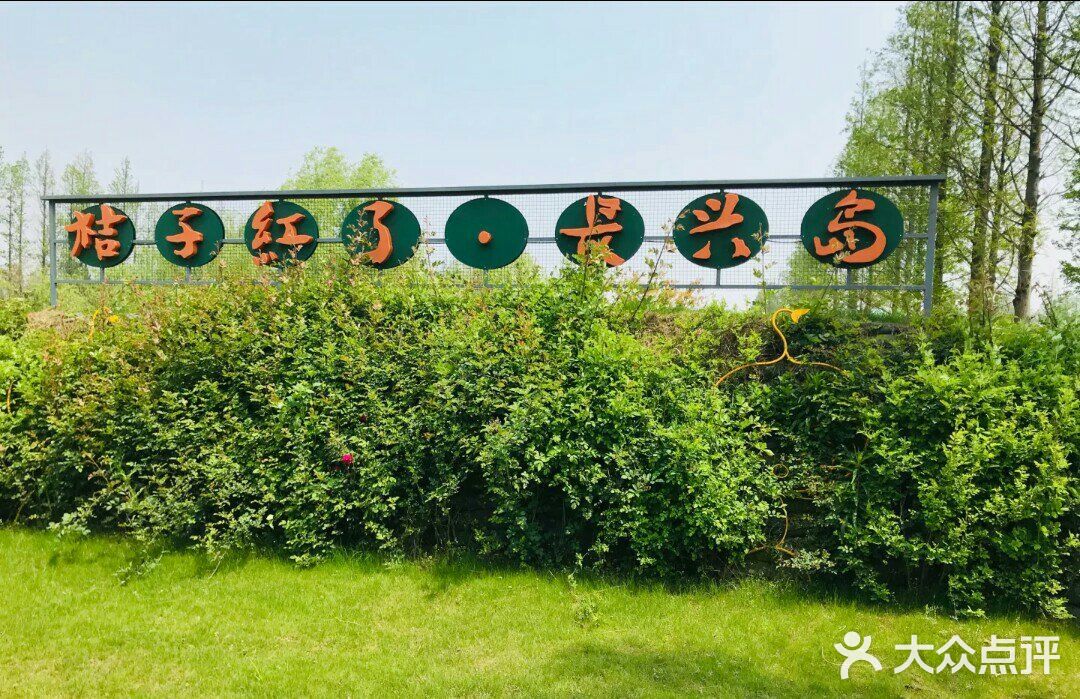 这个农场创意满分👍