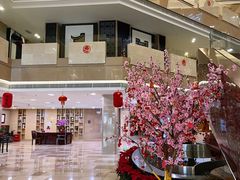 -聚春园自助餐厅(东街口店)