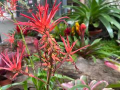 -徐家汇源景区-衡山公园