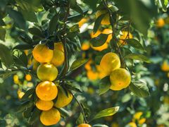 -滨江森林公园-真人CS野战场