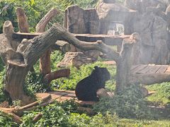 -海南热带野生动植物园