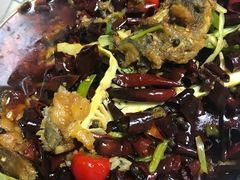 -老板恋上鱼(恒隆广场店)