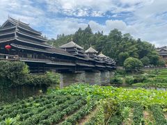 -程阳八寨景区