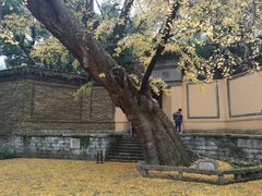-无锡惠山寺