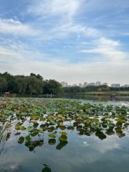 -童年时光专业儿童摄影(龙首店)