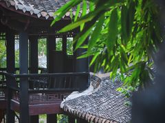 -阳明祠