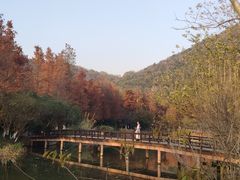 -八卦田遗址公园