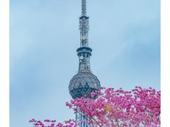 -文华公园(禅城区)