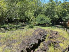 -海口火山口国家地质公园