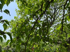 -长兴太湖图影湿地文化园