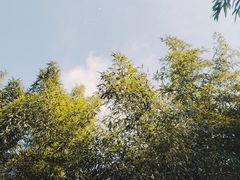 -菊花台公园