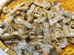 -川骄海鲜自助(河东店)