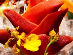 -牛道·和牛九食(市府恒隆广场店)