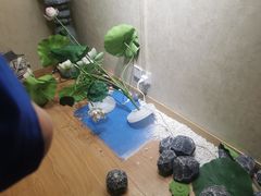 -剧狐剧本杀·月球探案馆(人民广场1号店)