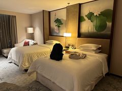 -上海嘉定喜来登酒店