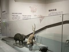 -长江文明馆