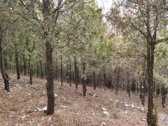 -青州市云门山风景区