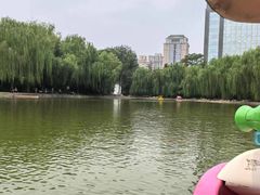 -团结湖公园