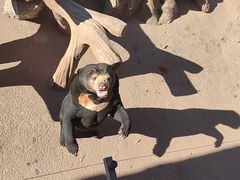 -北京野生动物园