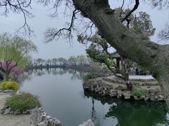 -无锡蠡湖国家湿地公园-蠡园