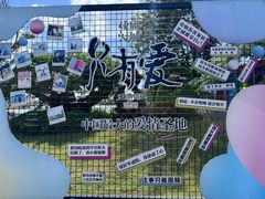 -荷兰花海