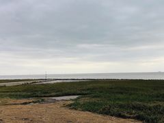 -南汇嘴观海公园