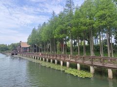 -苏州太湖湖滨国家湿地公园