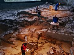 -自贡恐龙博物馆