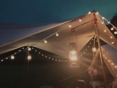 -春花秋色城市公园