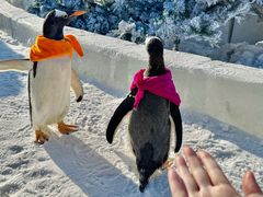 -波塞冬旅游度假区