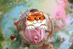 -象北鼻儿童摄影(西源集店)