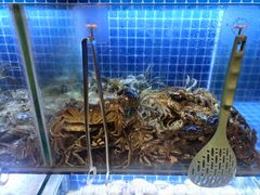 -芭菲盛宴·环球美食(袁家岗店)