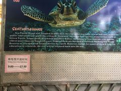 -广东惠东海龟国家级自然保护区