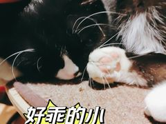 -么么咖啡(燕郊店)