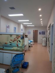 -痘庄科学祛痘国际连锁机构