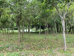 -蜀冈西峰生态公园