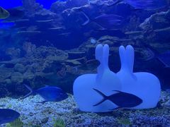 -海合安武汉极地海洋公园