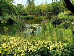 -东台西溪天仙缘景区