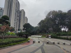 -重庆彩云湖湿地公园