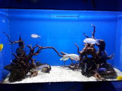 景点-烟台海昌鲸鲨海洋公园