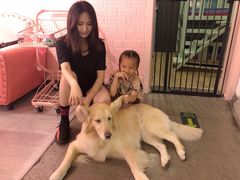 百好乐比萨-百好乐宠物友好餐厅(朝外大街店)