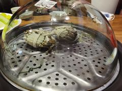 -黄寺蒸汽海鲜(黄寺大街店)