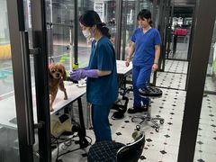 -全心全意动物诊疗中心医院(北苑店)