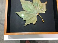 -香港会议展览中心演讲厅