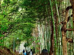 -敬亭山风景名胜区