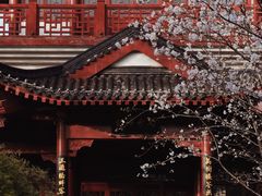 -堤角公园